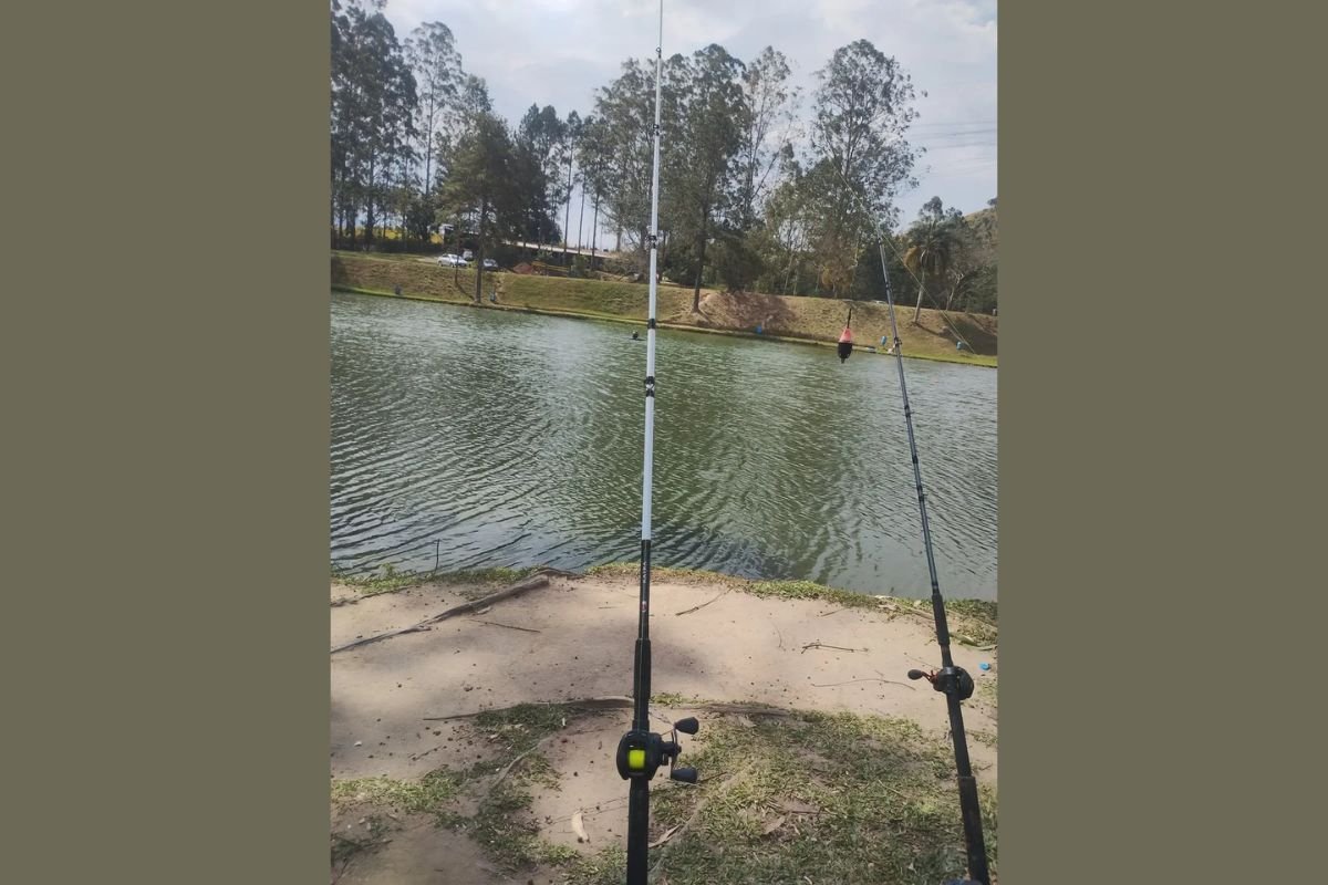 As Melhores Varas de Pesca de 2026: Guia Completo de Compra Lumis Katra - melhor vara custo-benefício para pesca pesada